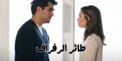 مسلسل طائر الرفراف: صراع العائلة والانتقام في عالم مليء بالأسرار